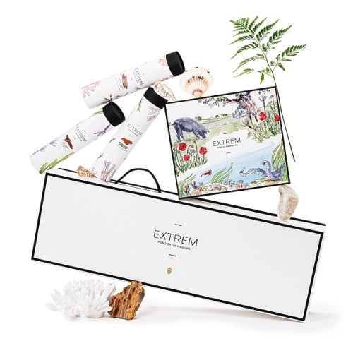 Paleta Ibérica DOP Dehesa de Extremadura | Extrem Puro