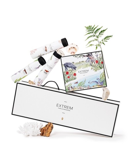 Paleta Ibérica DOP Dehesa de Extremadura | Extrem Puro