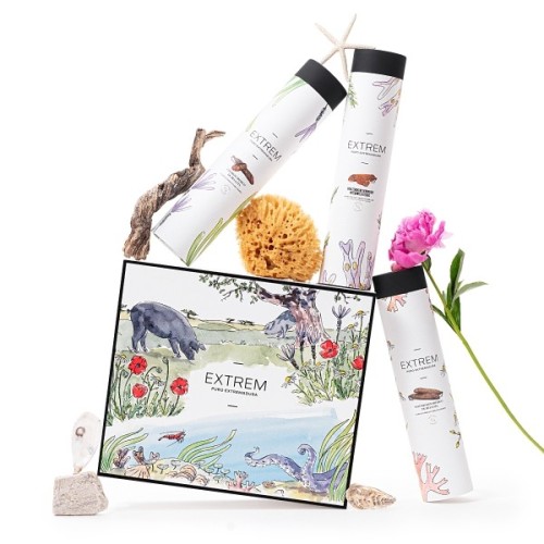 Estuche Gourmet ilustrado con Medias Piezas Ibéricas  + Regalo Gourmet