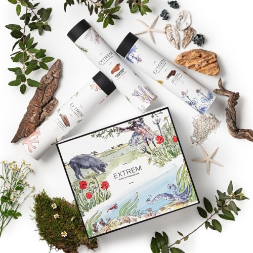 Estuche Gourmet ilustrado con Medias Piezas Ibéricas  + Regalo Gourmet