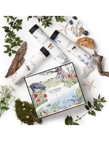 Estuche Gourmet ilustrado con Medias Piezas Ibéricas  + Regalo Gourmet