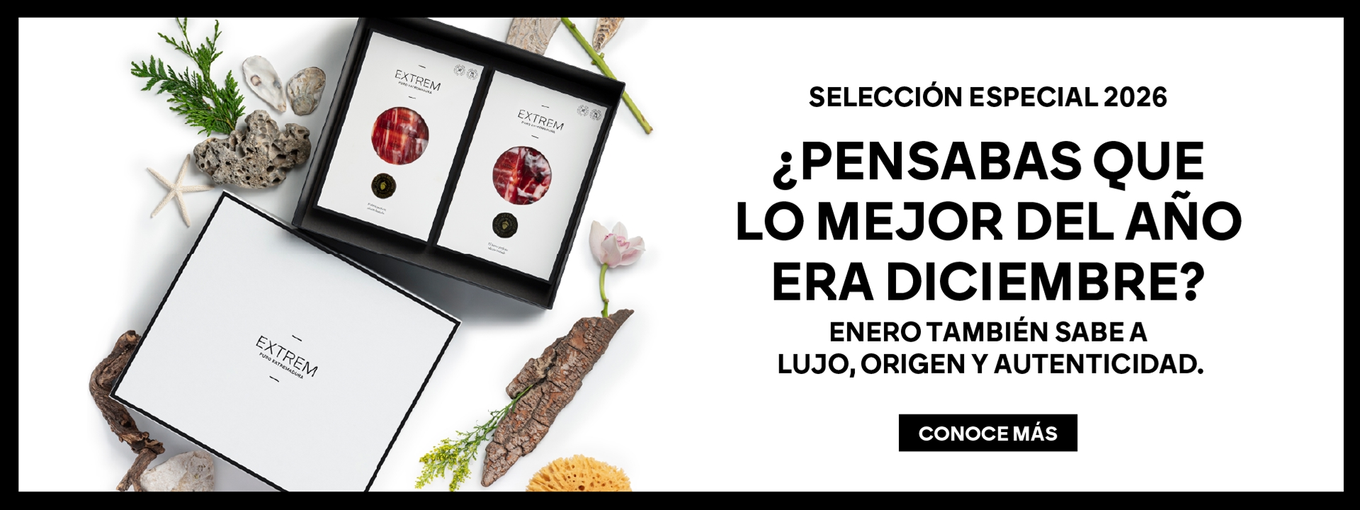 Banner Especial 2026